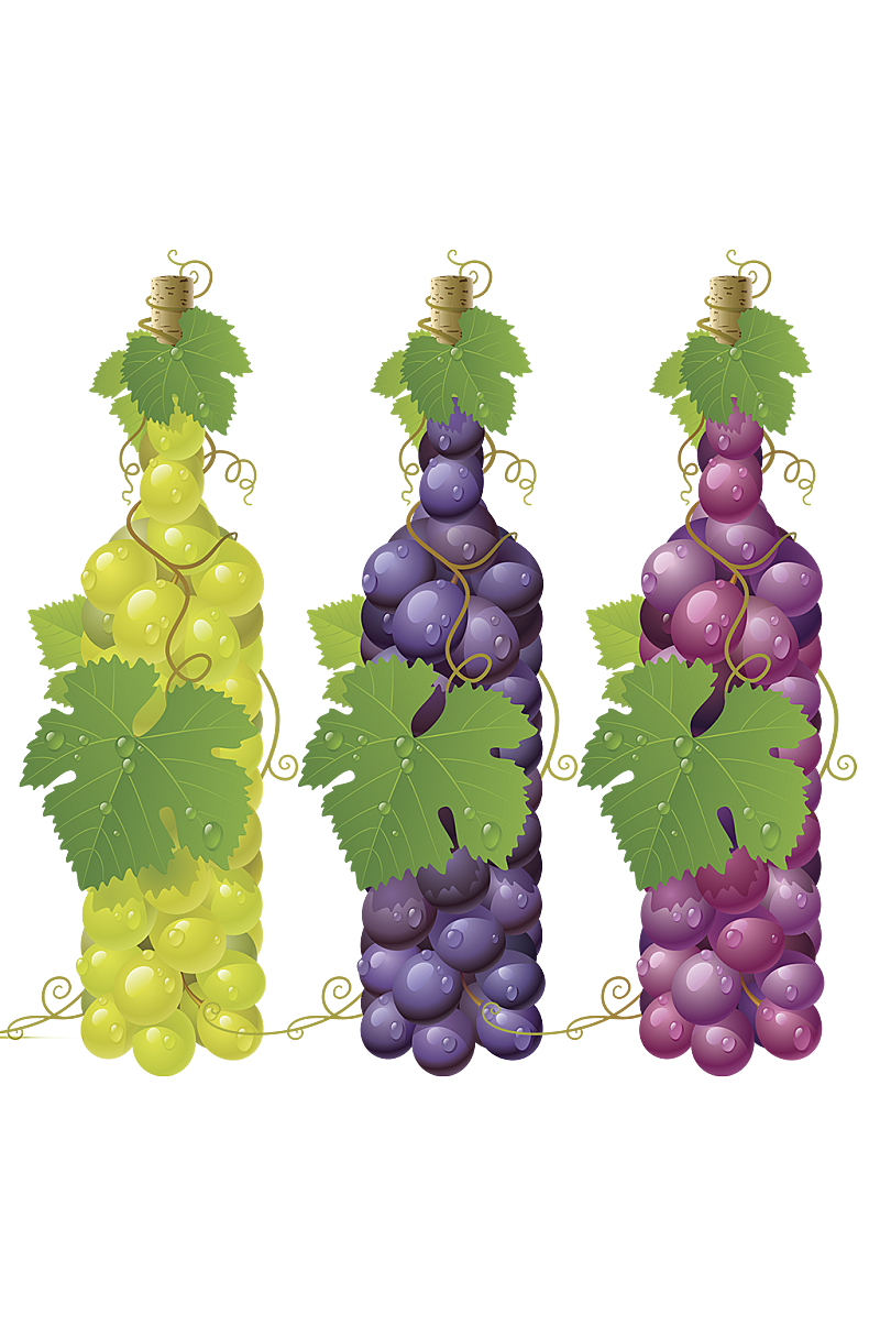 葡萄酒瓶三种颜色葡萄透明元素素材