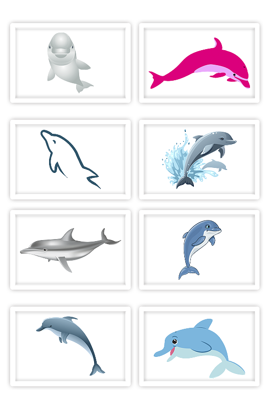 海豚尾巴图片 海豚尾巴素材下载 众图网