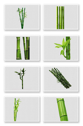 绿色竹子免扣素材免扣竹子