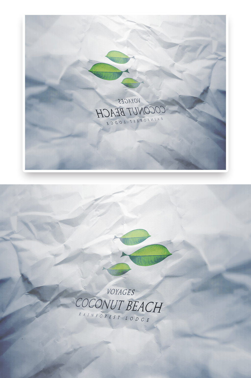 北欧小清新纸张材质LOGO标志标识样机素材