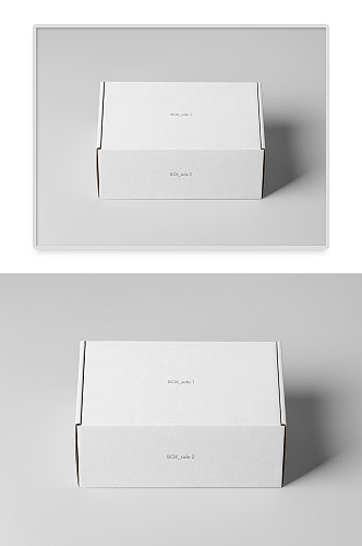 白色时尚瓦楞牛皮纸箱纸盒包装样机