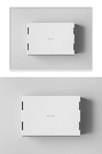 白色瓦楞牛皮纸箱纸盒包装样机
