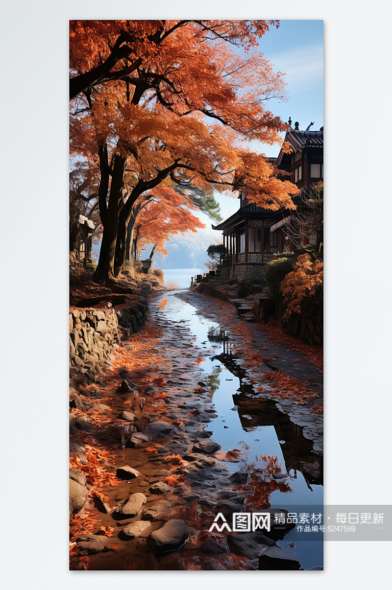 秋天金黄树叶景色摄影图片素材