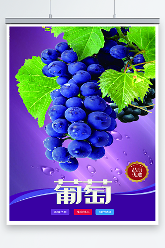 2023年最新原创葡萄水果海报