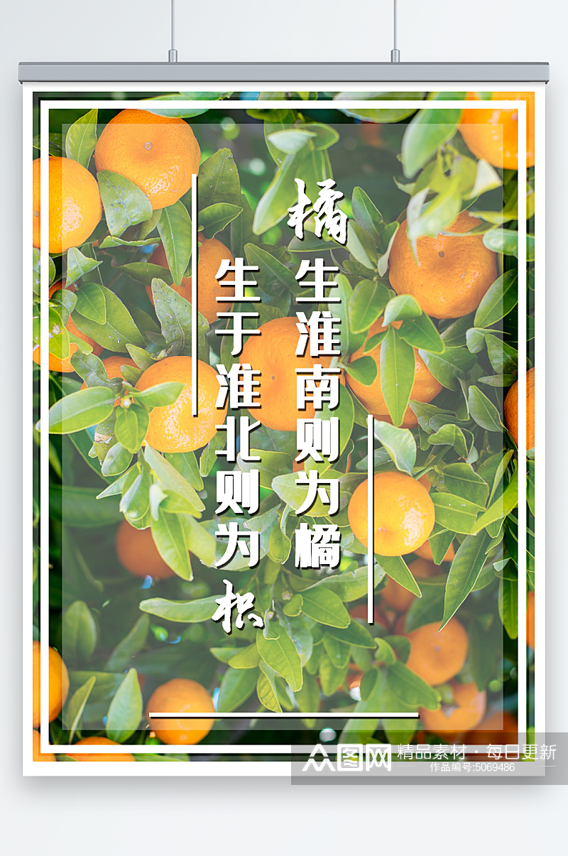 橘子水果促销宣传海报素材