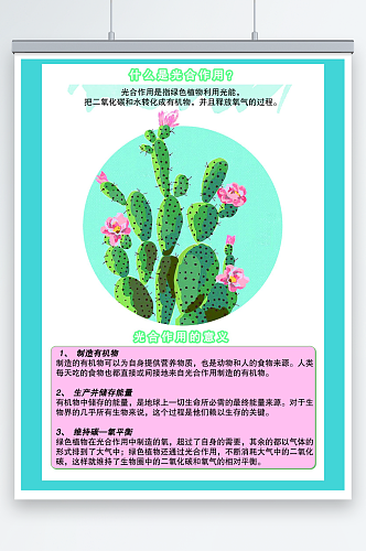 植物的光合作用科普知识海报