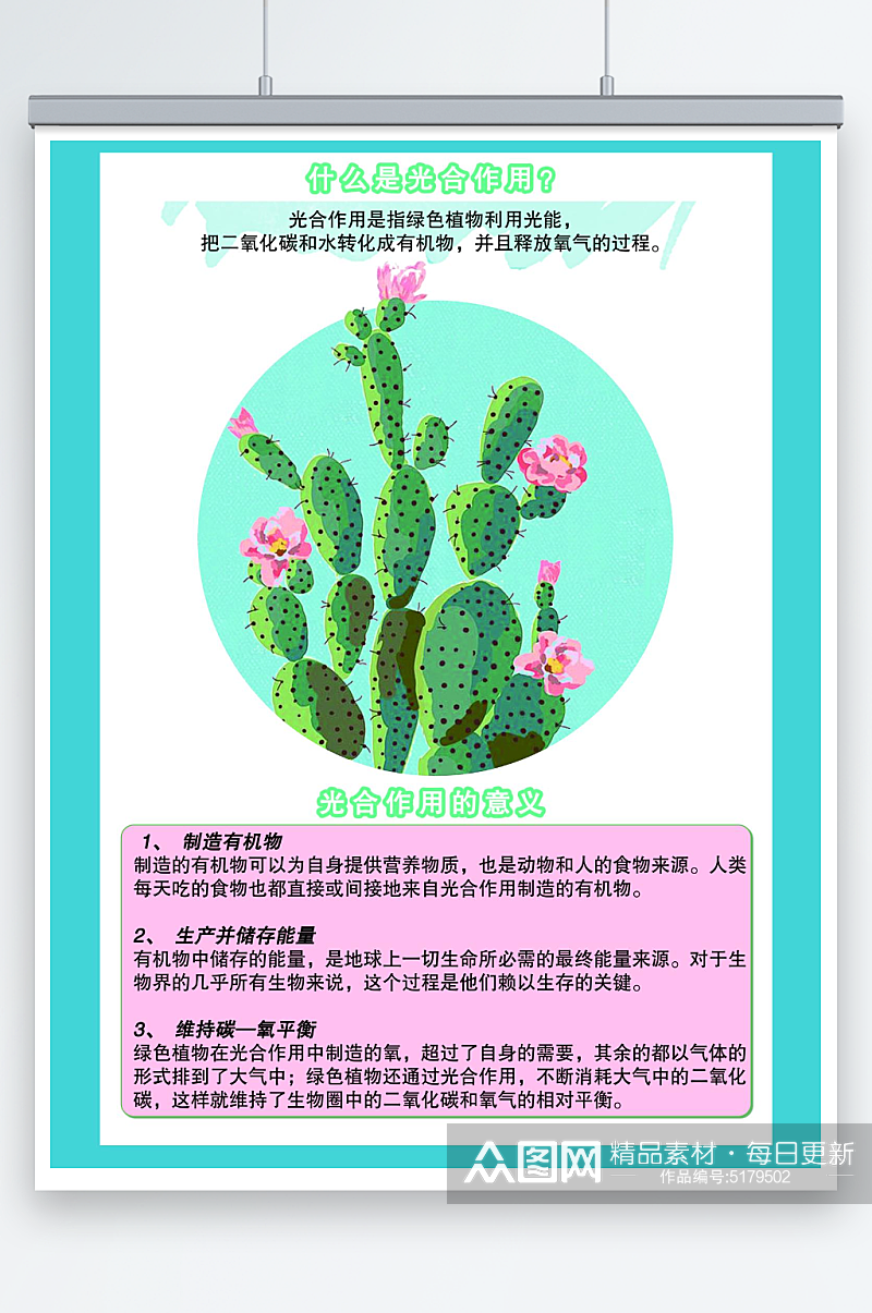 植物的光合作用科普知识海报素材