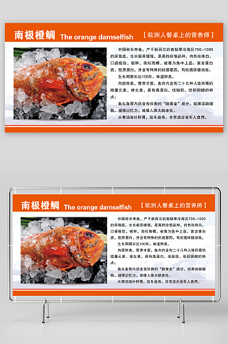 最新原创南极橙鲷宣传展板