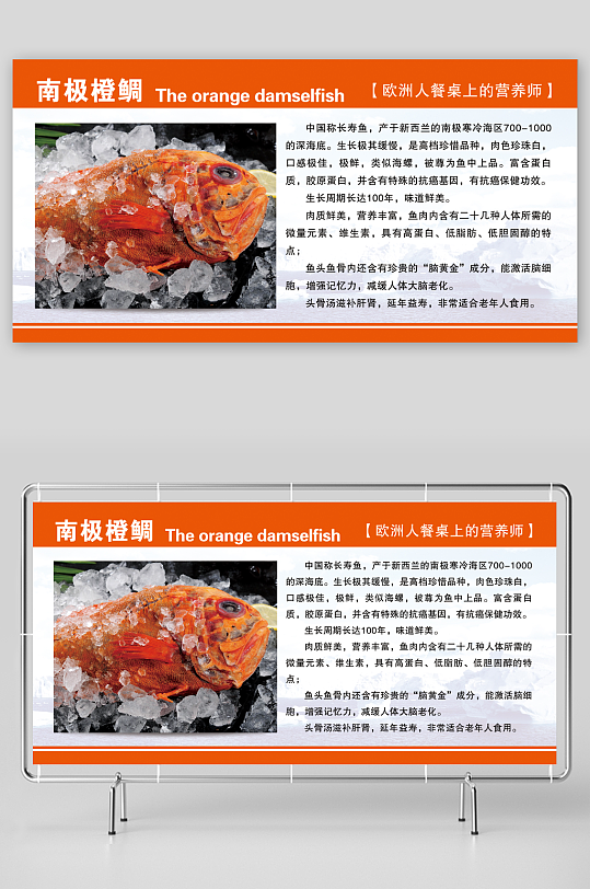 最新原创南极橙鲷宣传展板