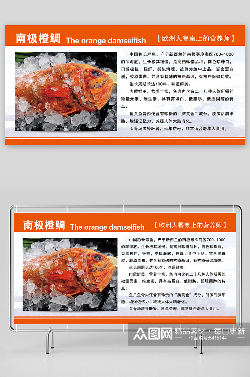 最新原创南极橙鲷宣传展板素材