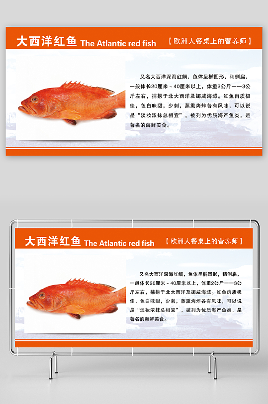 最新原创大西洋红鱼宣传展板