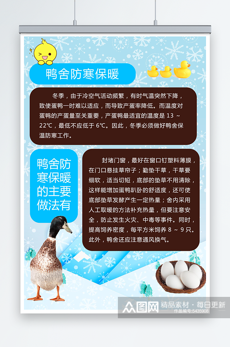 冬季蛋鸭如何提高产蛋率海报素材