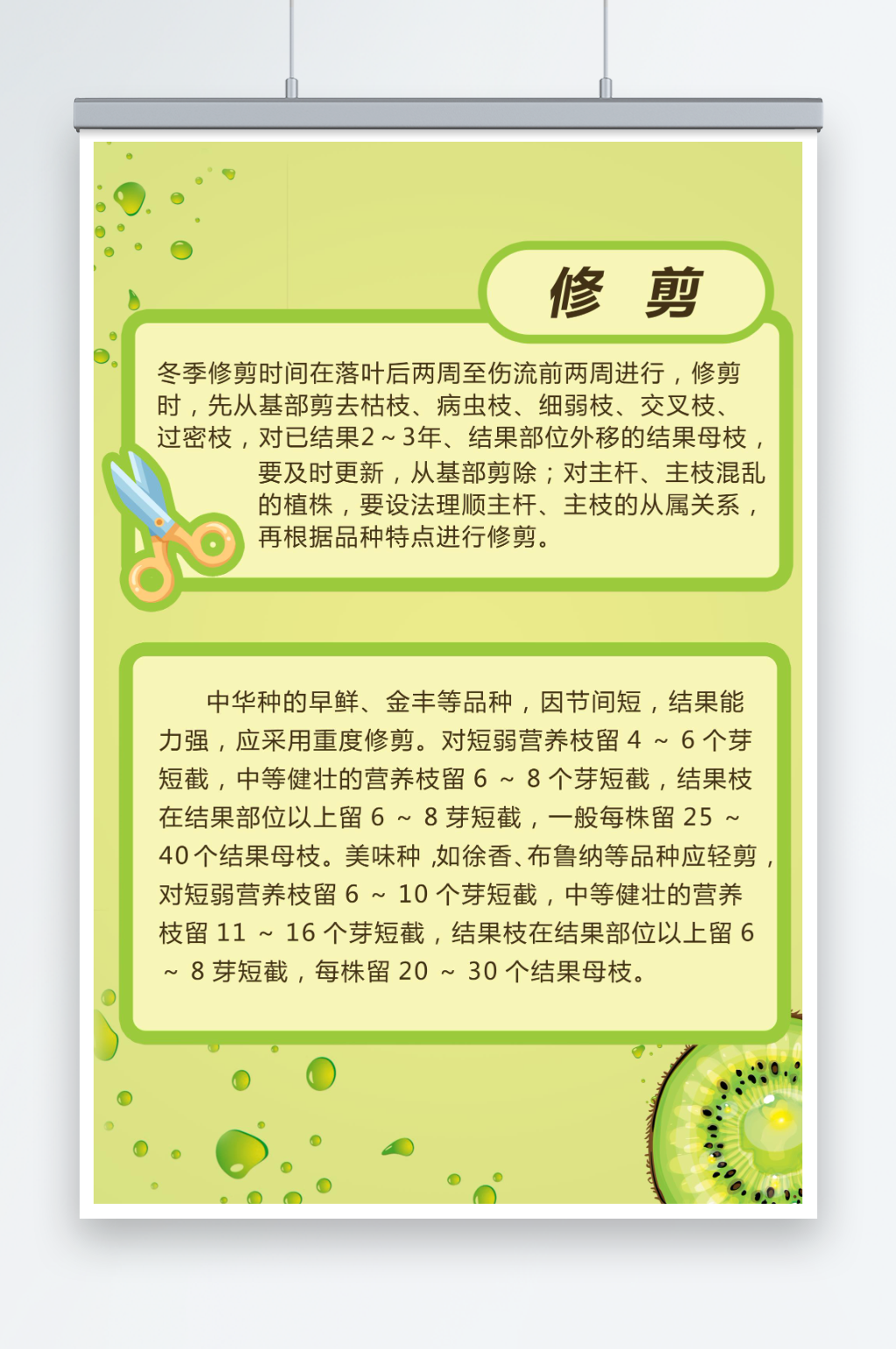 猕猴桃管理要点农业技术海报素材