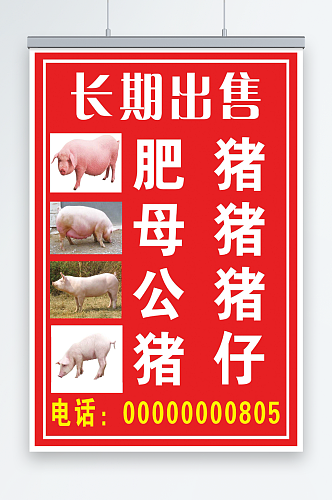 出售猪仔宣传海报