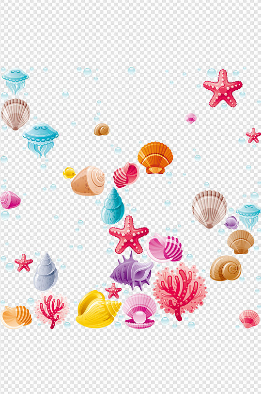 彩色贝壳海螺海星