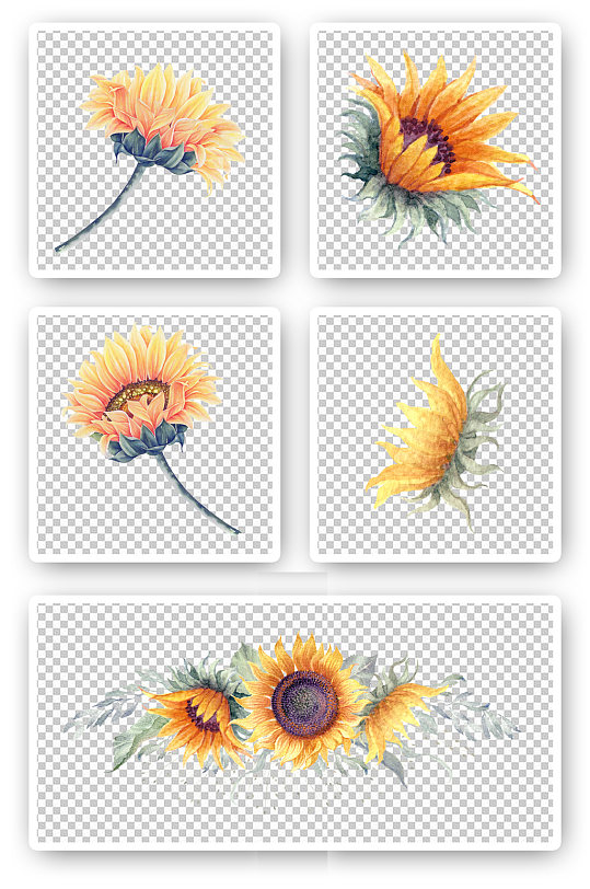 三朵向日葵花束图片 三朵向日葵花束素材下载 众图网