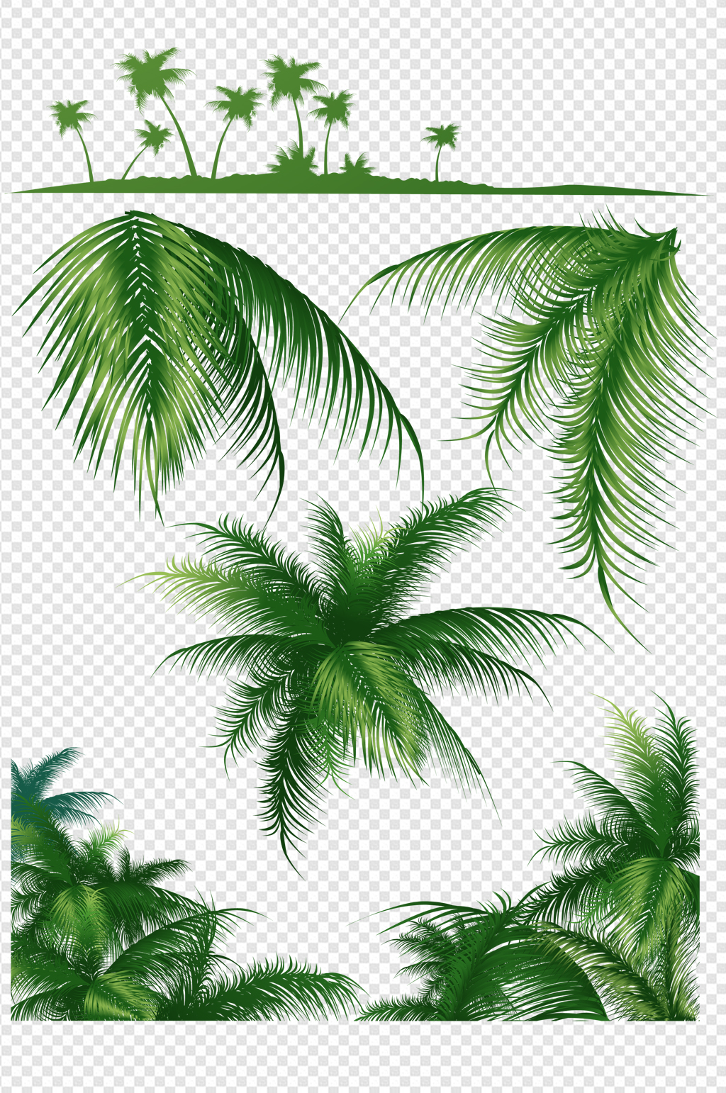 海边椰子树大树素材素材