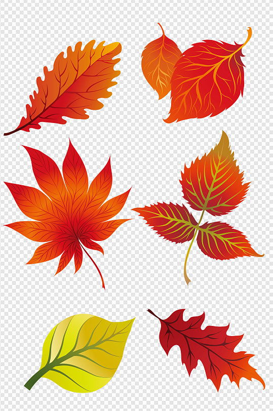 红叶叶子枫叶黄叶-众图网