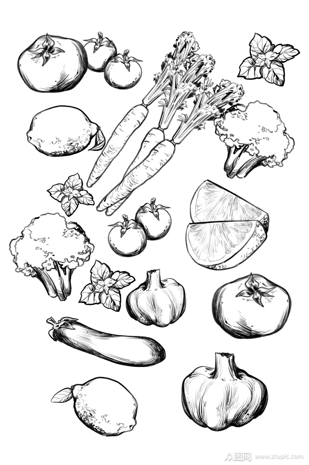 素描蔬菜素材背景装饰免扣元素