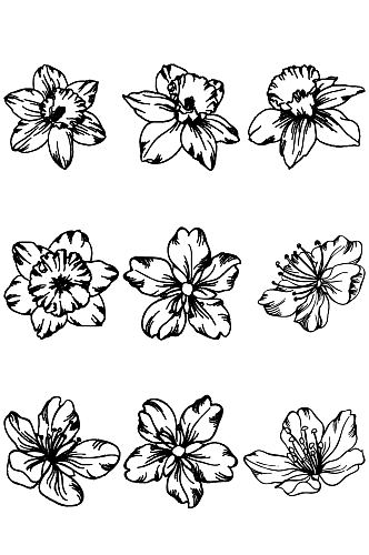 多款花朵花蕾花瓣植物线条图标图案免扣元素