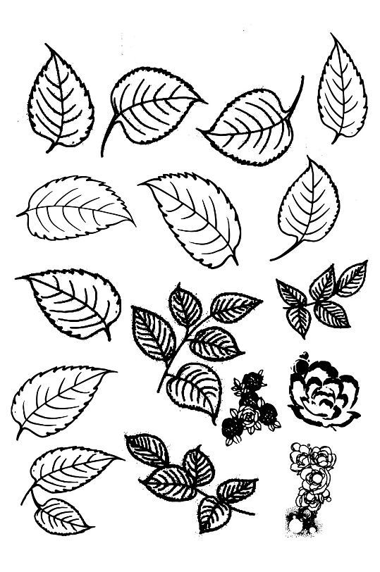 树叶叶子叶片线条图标图案花纹图免扣元素