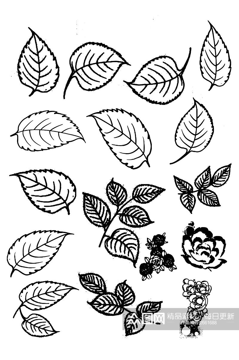 树叶叶子叶片线条图标图案花纹图免扣元素素材