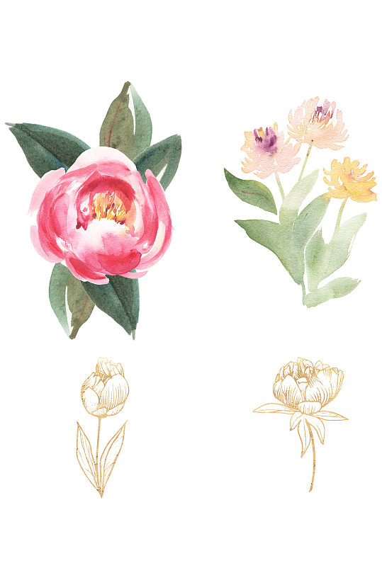插画牡丹水彩高光素材免扣元素-众图网