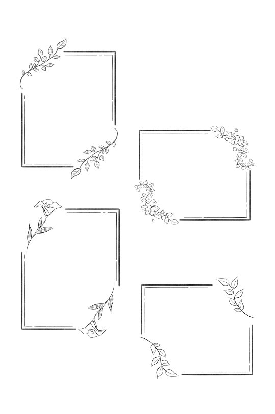 简约线描花卉树叶边框文本框装饰免扣元素