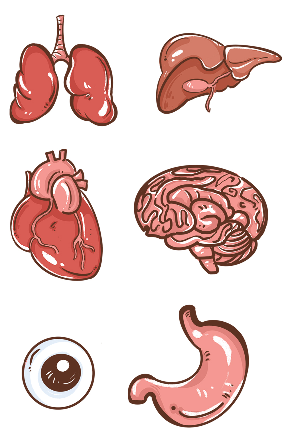 人体器官图形怎么画图片