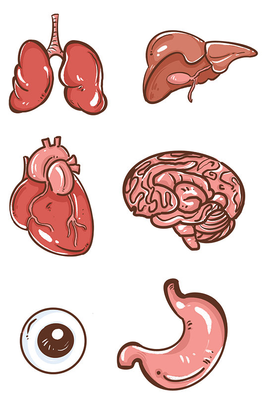 手绘心肝肺人体器官图标元素免扣元素