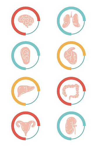扁平化简约人体器官图标免扣元素