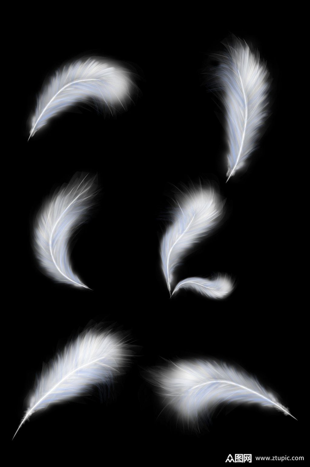 白色羽毛设计元素免扣元素素材