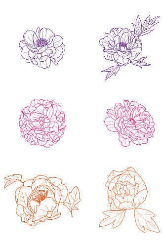手绘牡丹花卉设计元素免扣元素