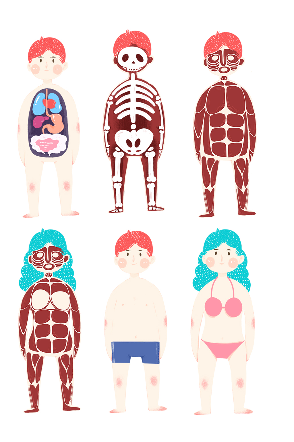 卡通人体器官与人体骨骼图免扣元素立即下载人体解剖图身体内部素材