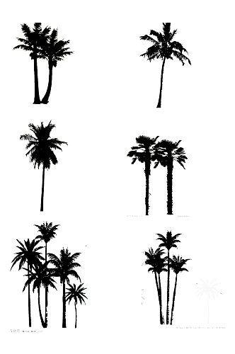 手绘剪影椰树椰子树免扣元素
