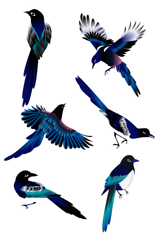 喜鹊素材鸟设计ai元素免扣元素