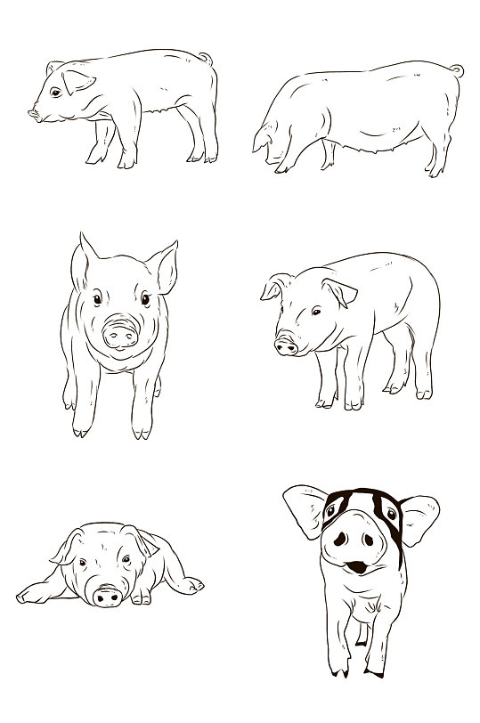 产品实物黑色黑白色猪元素免扣元素