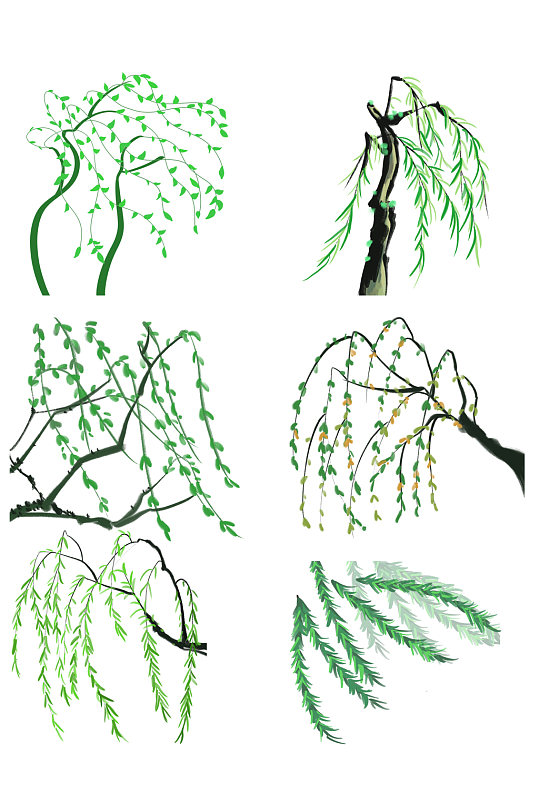 清新柳树叶子柳条图案设计免扣元素