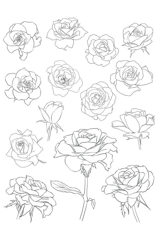 画七夕情人女神节免扣元素立即下载立即下载蔷薇月季手绘花朵免扣元素