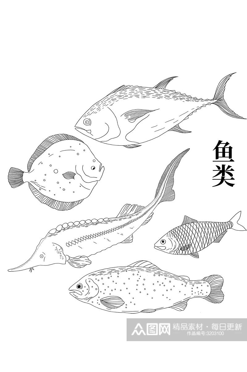 手绘卡通鱼类海洋生物美食海鲜线稿免扣元素素材