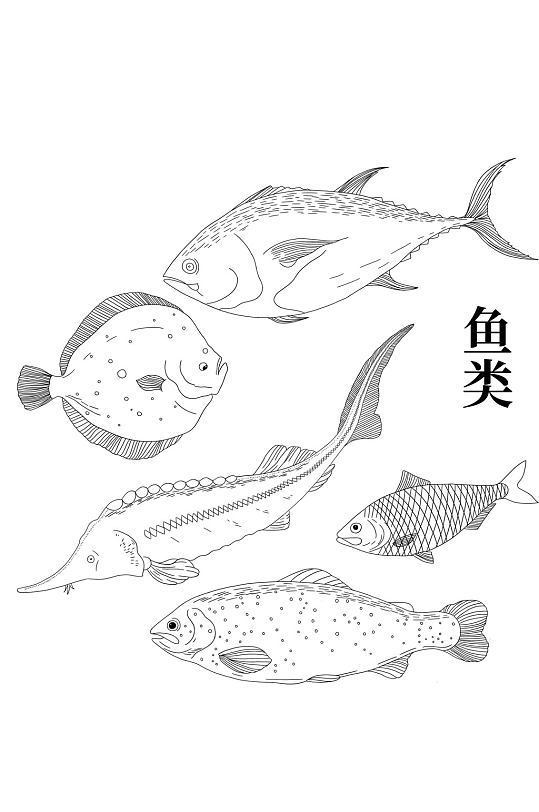 手绘卡通鱼类海洋生物美食海鲜线稿免扣元素