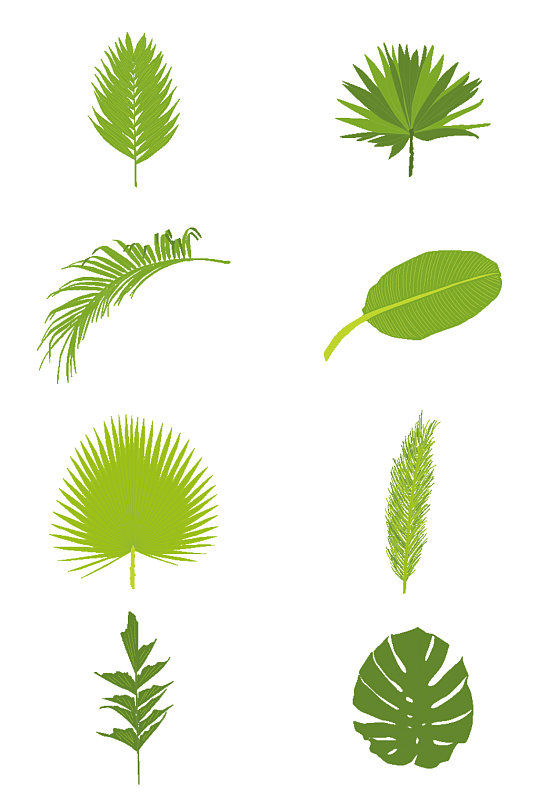 手绘热带绿色植物棕树叶子装饰图案免扣元素