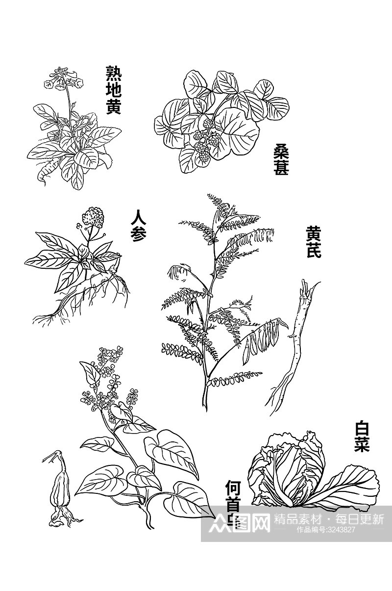 中医手绘插画免扣元素素材下载-众图网