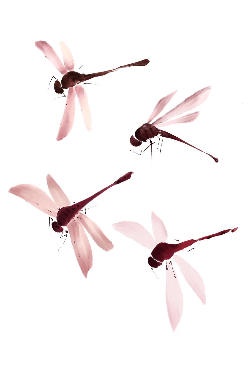 蜻蜓翅膀昆虫飞虫童年水彩水墨风免扣元素