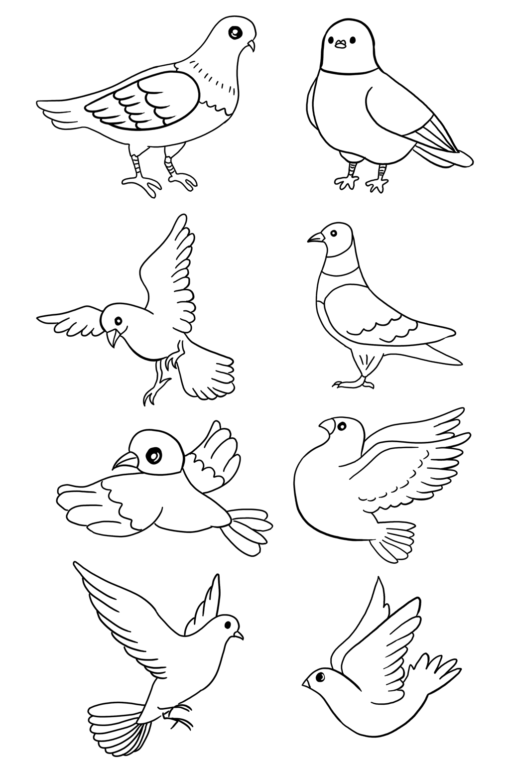 信鸽怎么画简笔画图片