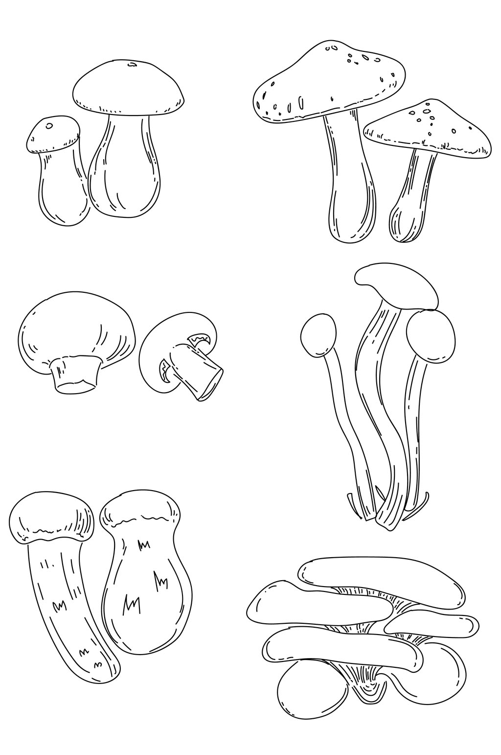 手绘插画松茸牛肝菌茶平蘑菇线稿免扣元素