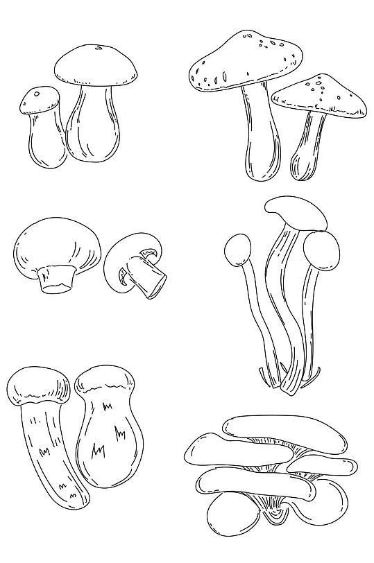 手绘插画松茸牛肝菌茶平蘑菇线稿免扣元素