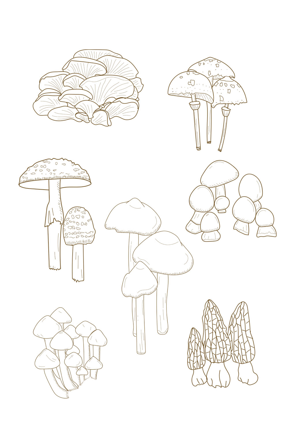 毒蘑菇简笔画有毒图片