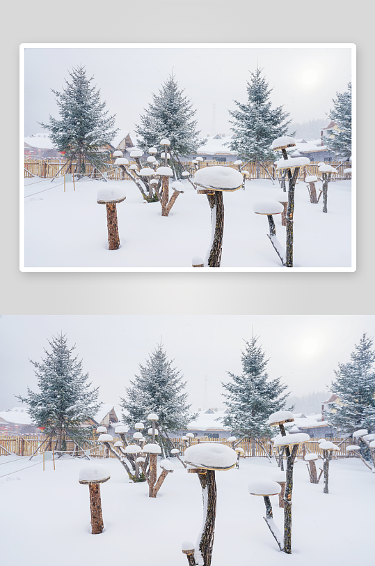 各类雪景原创摄影图图片-众图网