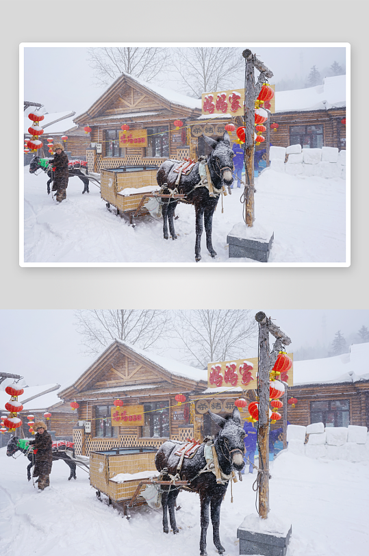 各类雪景原创摄影图图片-众图网